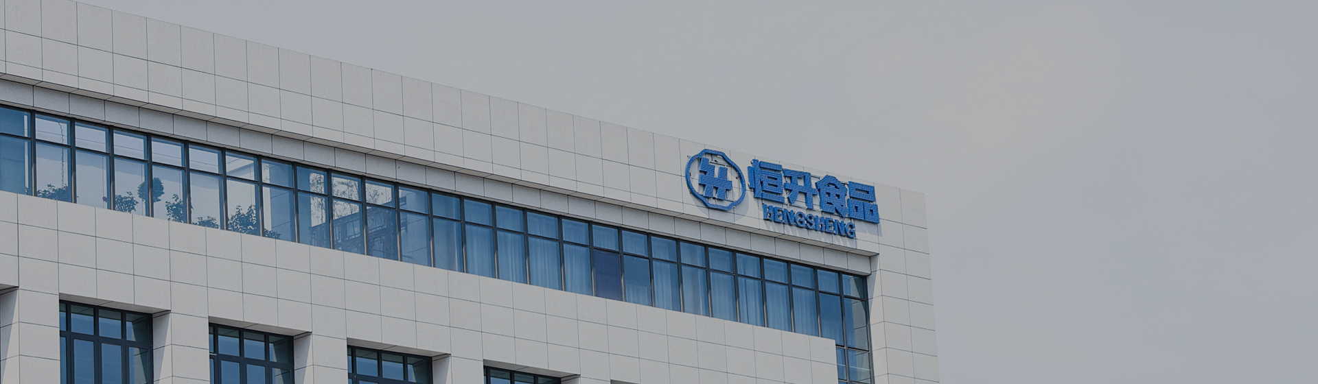 恒升(新鄉(xiāng))食品有限公司